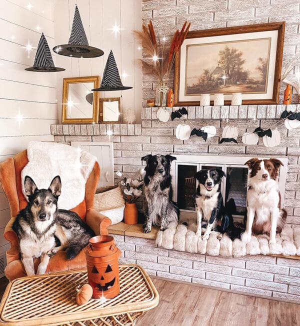 Photo of  four dogs sitting in a living room with a fireplace surrounded by halloween decorations.