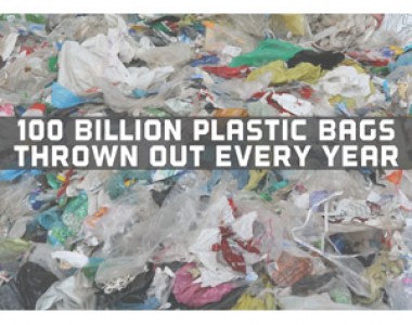 wpupload_2017_01_PlasticBags_Featured.jpg