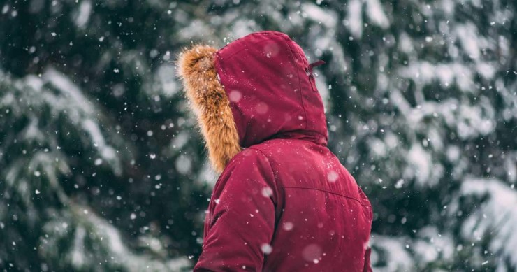 Photo of a person wearing a winter coat with the hood up standing outside while it is snowing with evergreen trees in the background.